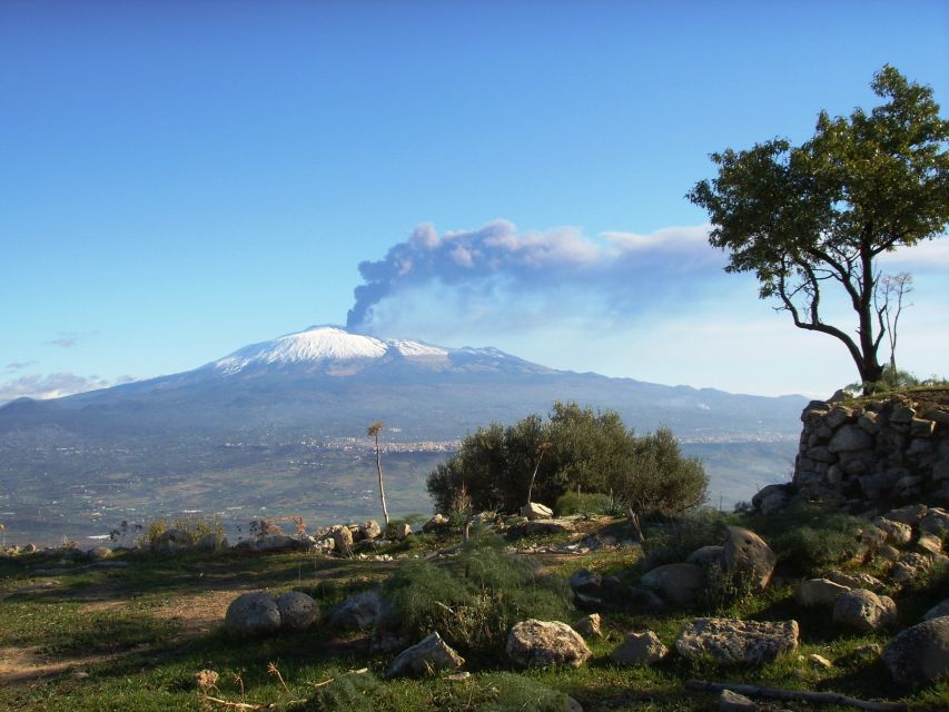 From Taormina: Mount Etna Guided Bus Tour - Who this Etna bus tour suits best (and who should skip)