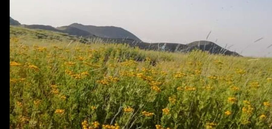 From Taormina, Naxos, & Letojanni: Mount Etna Half-Day Trip - The Drive Up: Villages, Lava Evidence, and Those “Wait, Look” Moments