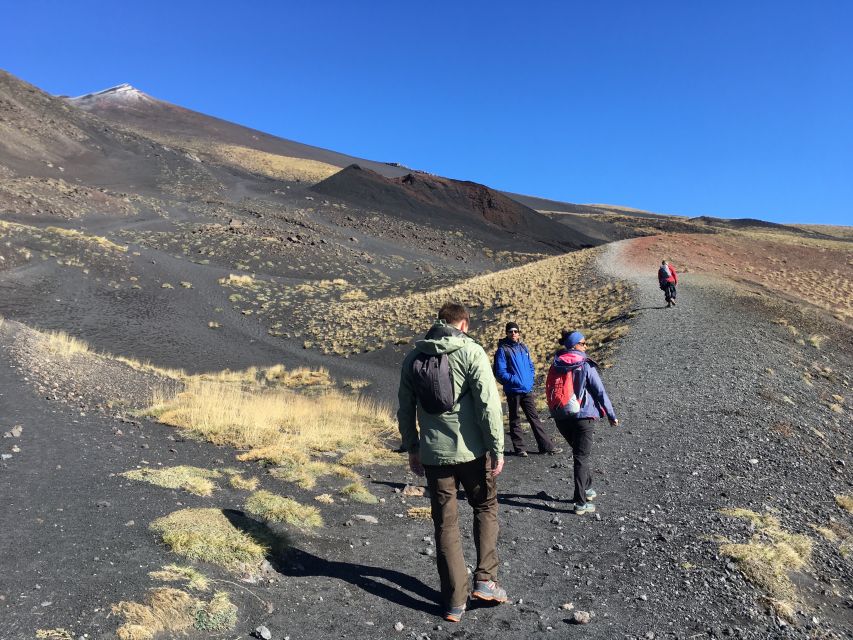 From Taormina or Catania: Private Full-Day Mount Etna Hike - Price and value: is $643.66 per group worth it?