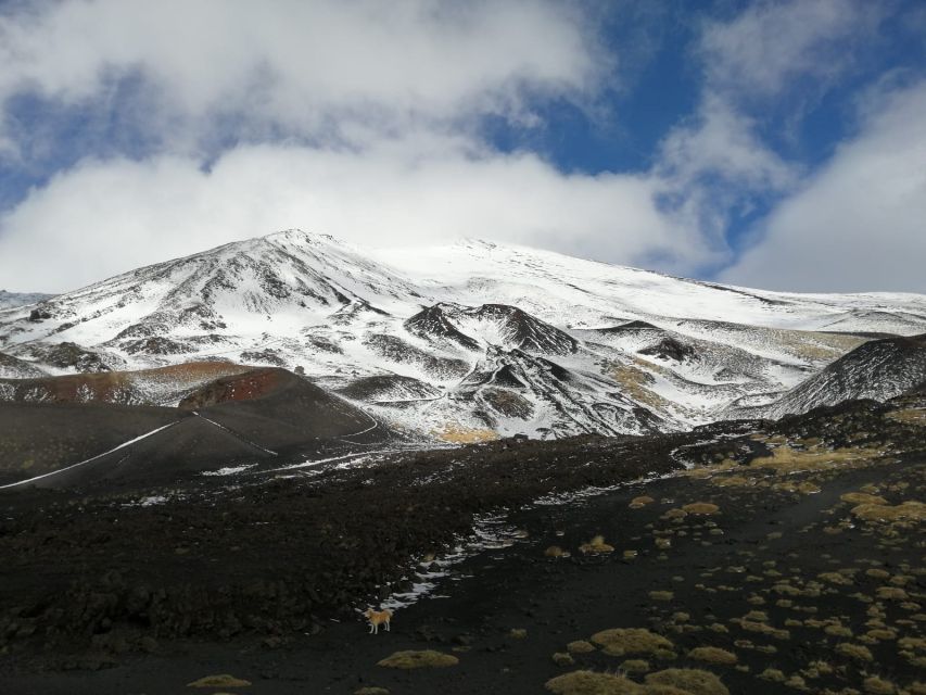 From Taormina or Catania: Private Full-Day Mount Etna Hike - Private Full-Day Mount Etna Hike: the vibe and who it fits