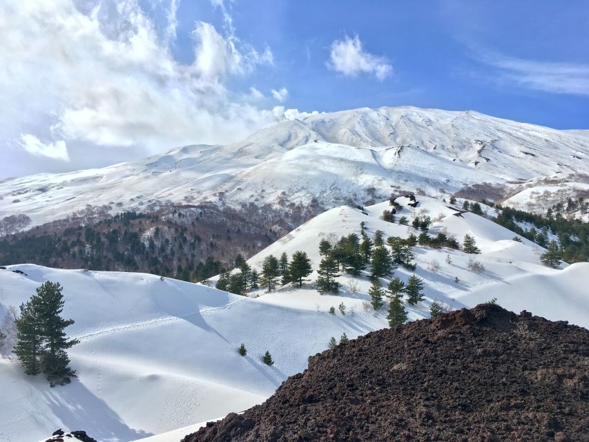 From Taormina or Catania: Private Full-Day Mount Etna Hike - Lunch on the mountain: what’s included and how to plan for food needs