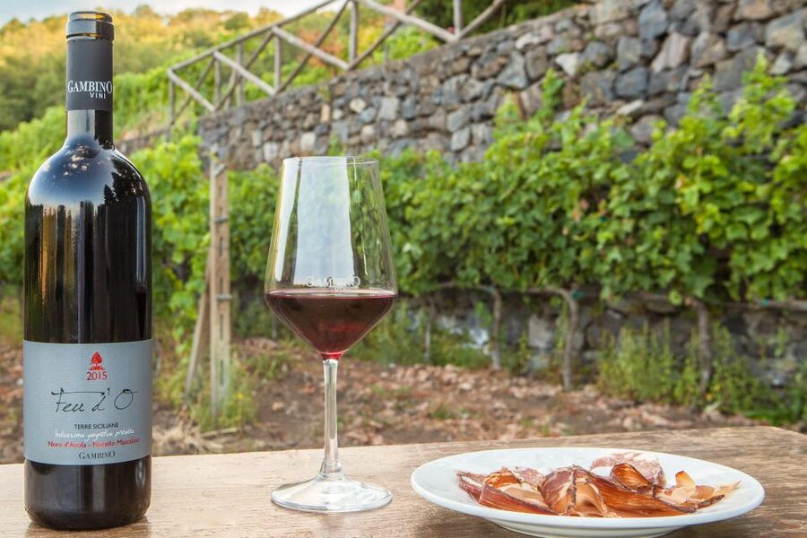 From Taormina: Private 3 Etna Wineries with Food & Wine - A Private Etna Wine Day That Feels Like a Plan, Not a Script