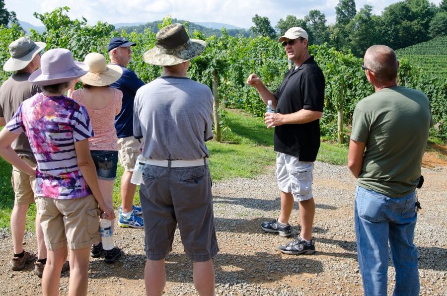 From Taormina: Private 3 Etna Wineries with Food & Wine - Etna Wine Basics You’ll Understand Before the First Sip