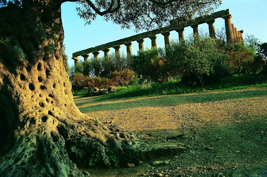 From Taormina: Valley of The Temples & Piazza Armerina Tour - The Agrigento guide role: how to make temple time actually pay off