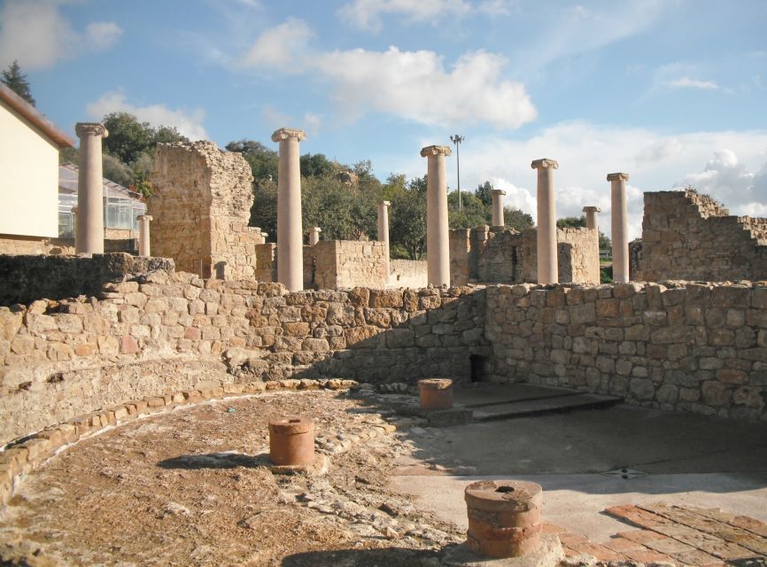 From Taormina: Valley of The Temples & Piazza Armerina Tour - Who should book this (and who should skip it)