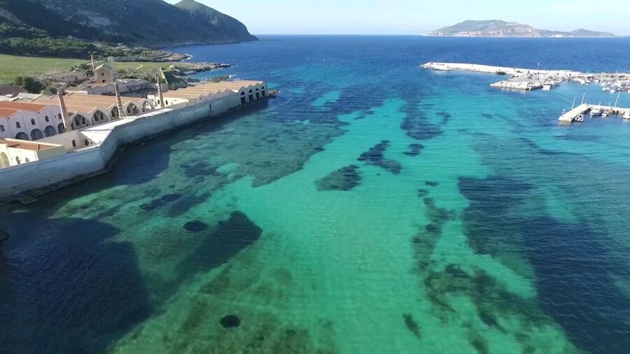 From Trapani: Day Cruise to Favignana & Levanzo with Lunch - The price: how $46 stacks up for what you get