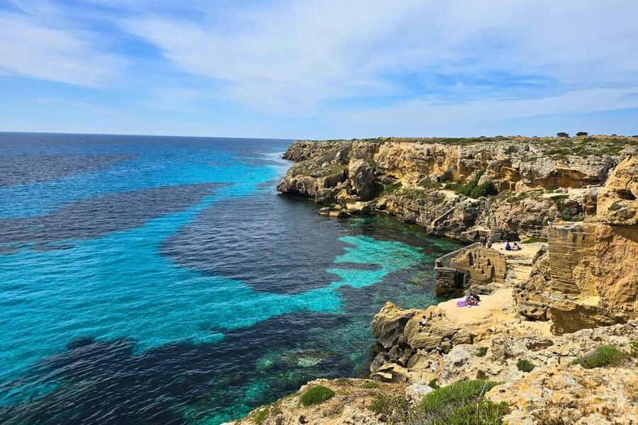 From Trapani: Egadi Islands Tour by RIB to Favignana and Levanzo with Lunch - Snorkeling and the Marine Protected Area: how to use the included access