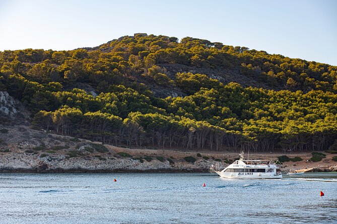 From Trapani: Egadi Islands tour with lunch on board - Crowds, swim space, and the boat-size reality
