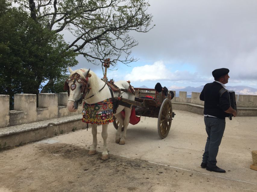 From Trapani: Erice Walking Tour and Local Products Tasting - Ericini carpet workshop with an ancient loom