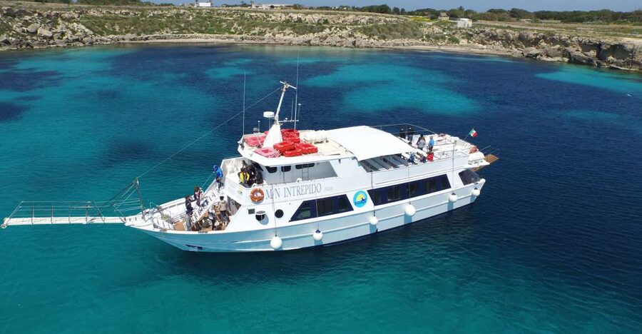 From Trapani: Favignana and Levanzo Boat Tour - Getting there: port departure and about 40 minutes to Favignana