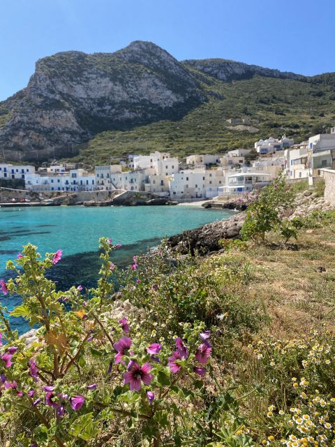From Trapani: Favignana and Levanzo Mini Cruise with Lunch - How to judge the price: is $47 good value?