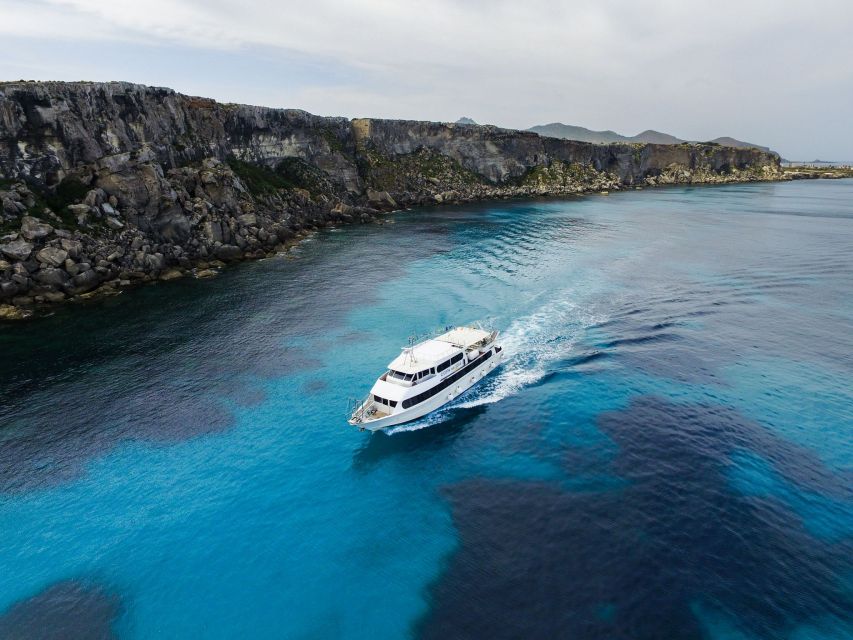 From Trapani: Favignana and Levanzo Motorboat Cruise - Cala Rossa and Cala Azzurra: the pink-and-blue magic is real