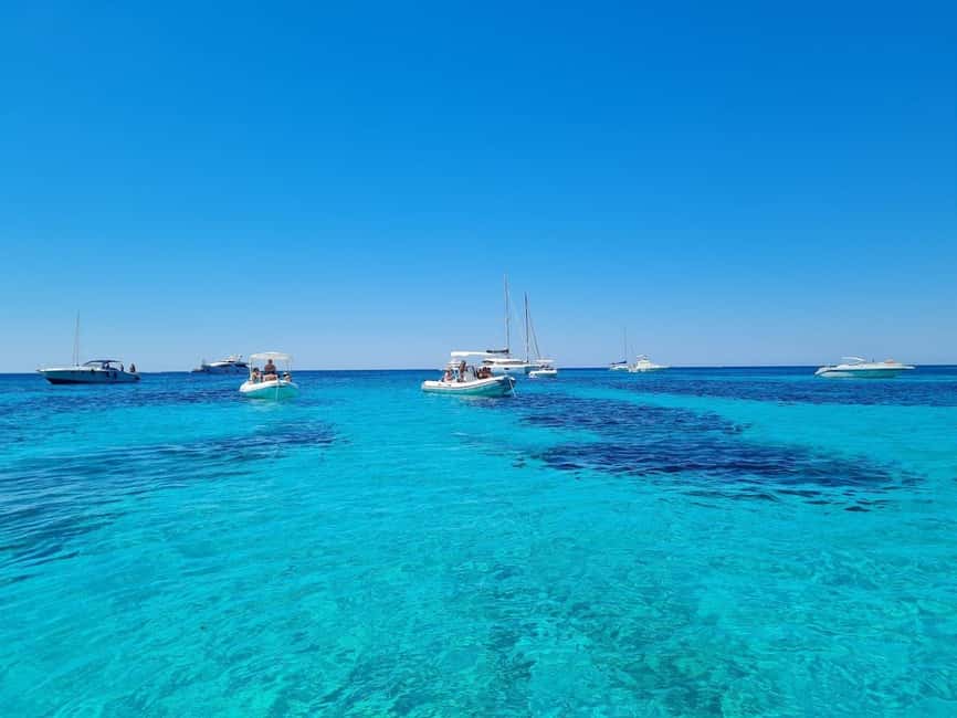 From Trapani: Full-day Favignana and Levanzo tour with lunch and aperitif - Favignana’s Cove Circuit: Cala Rossa, Cala Azzurra, Bue Marino