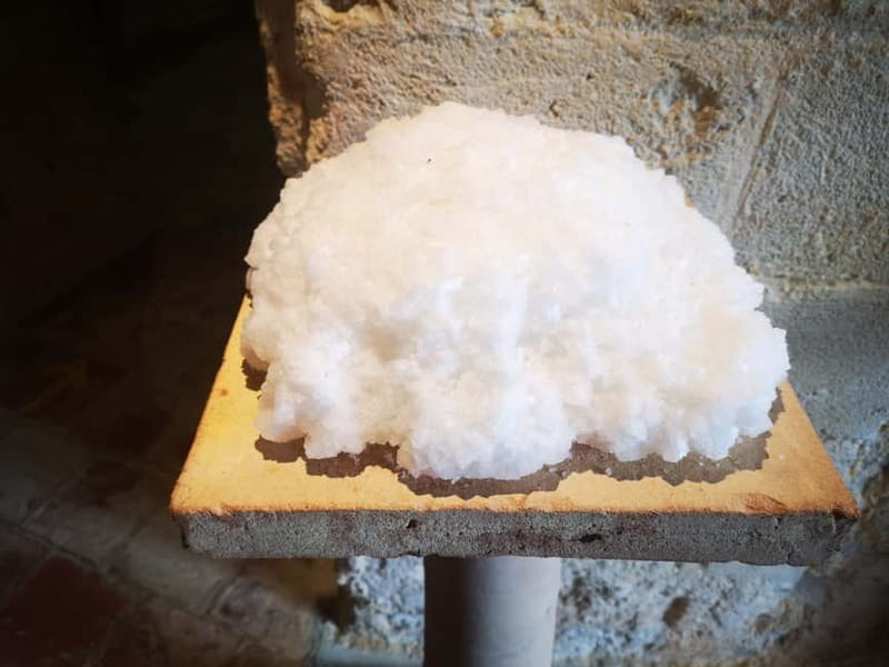 From Trapani: Salt Road Tour With Winery Visit and Boat Trip - Winery Stop: Donnafugata, Florio, Caruso, Pellegrino, or Mininni