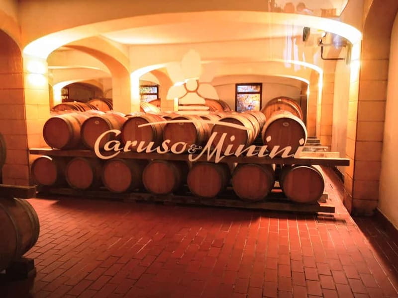 From Trapani: Salt Road Tour With Winery Visit and Boat Trip - What You Actually Learn: Saltpans, Marsala, and Local Production