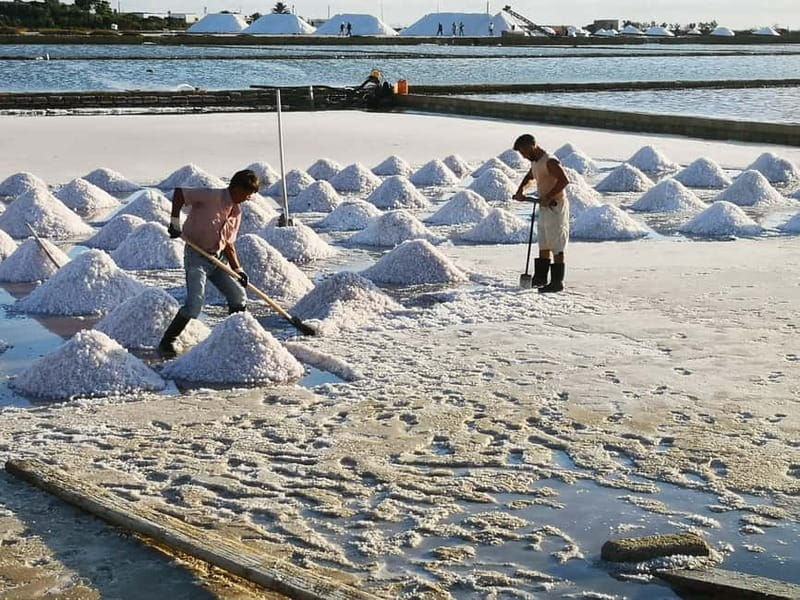 From Trapani: Salt Road Tour With Winery Visit and Boat Trip - Price and Value: Is $169.93 a Fair Deal?