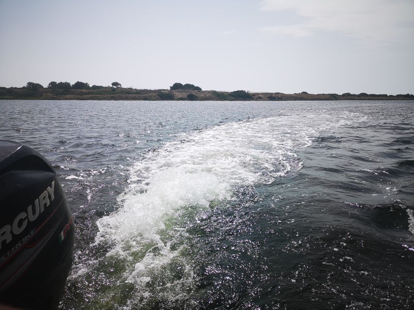 From Trapani: Stagnone Islands of Marsala and salt pans - Wildlife and rare plant spotting, without the pressure