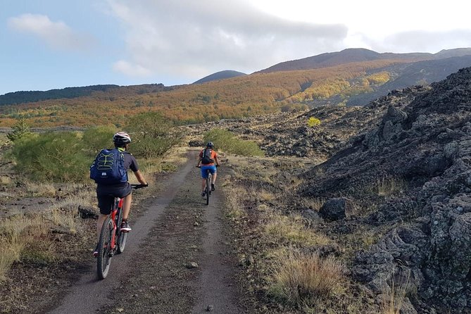 Full circuit of Etna by MTB small group - Your e-bike setup: full suspension for volcanic tracks