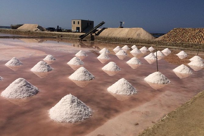 Full Day Exclusive Excursion to Segesta, Erice & Trapani Salt Flats from Palermo - Trapani salt flats and the Museo del Sale: the working landscape of salt