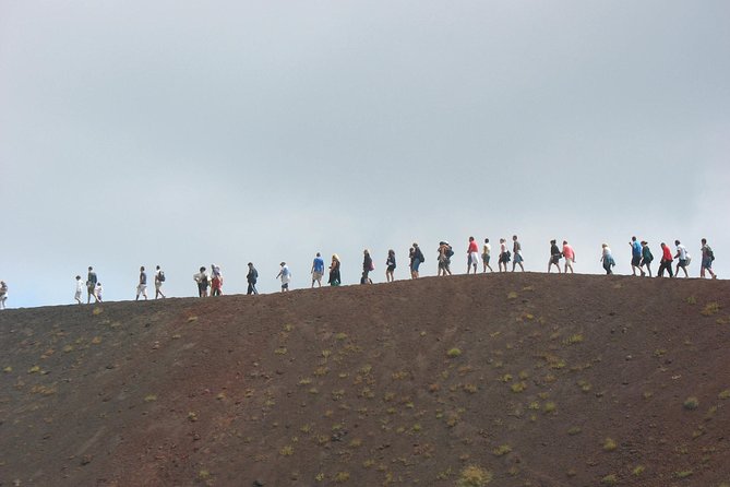 FULL DAY excursion - ETNA and TAORMINA - Price and value: is $132.53 a smart deal?