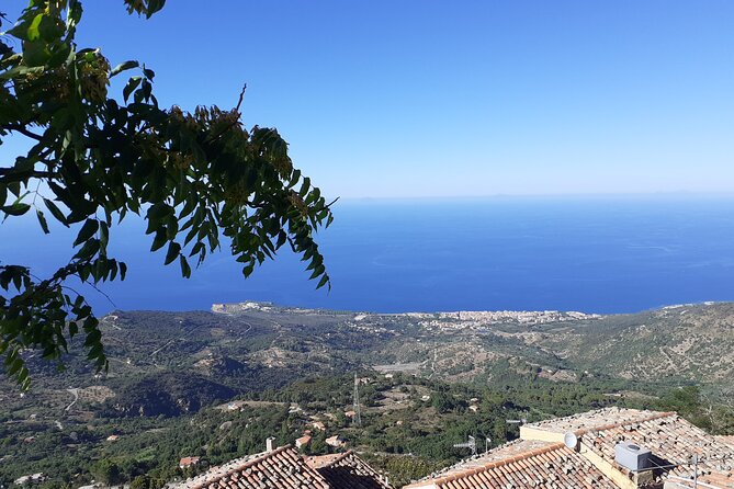Full Day Private Tour in Medieval Villages and Vineyard in Cefalù - Optional vineyard lunch and wine tasting near Castelbuono