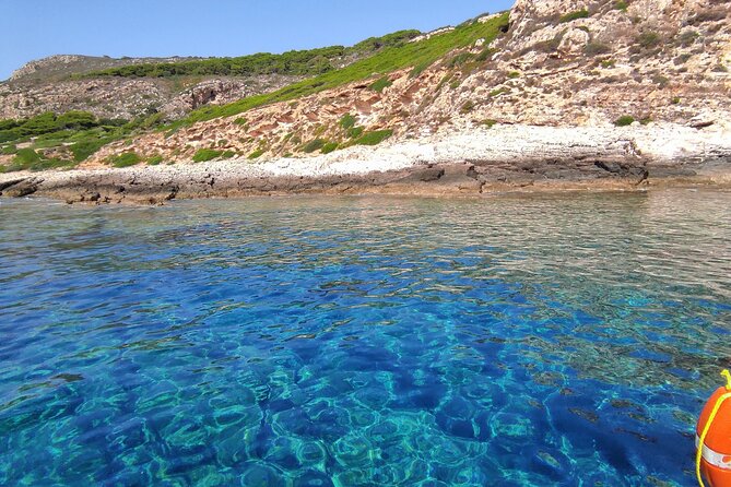Full Day Sailing Boat Tour to the Egadi Islands - The Meeting Point Game: Where to Go and What to Bring