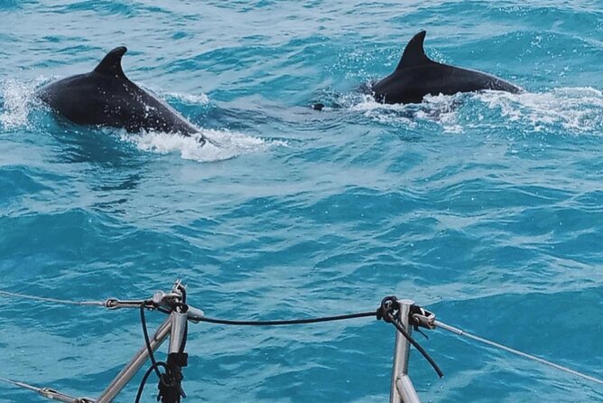 Full Day Sailing Tour Catania-Acitrezza - The sailing experience itself: you might even steer