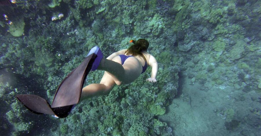 Giardini Naxos: Isola Bella Marine Park Snorkeling Cruise - Key things that matter most