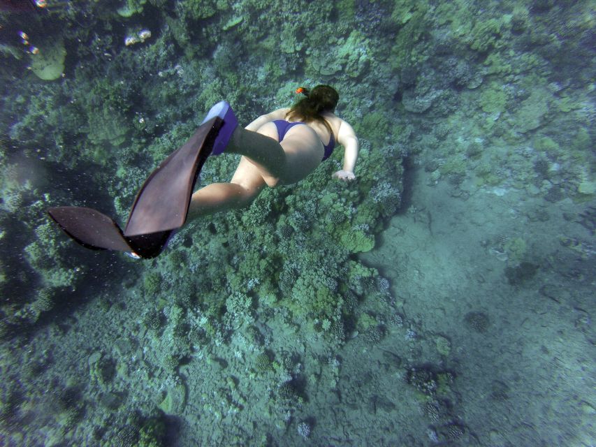 Giardini Naxos: Isola Bella Marine Park Snorkeling Cruise - Who this cruise fits best (and who should sit this one out)