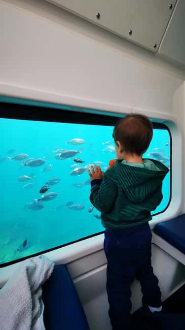 Giardini Naxos: Semi-Submarine Tour to Isola Bella - Who should book this semi-submarine tour (and who should skip it)