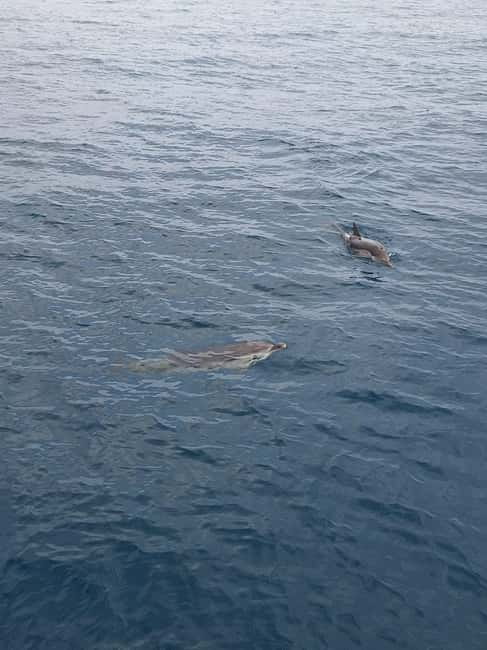 Giardini Naxos Taormina: Dolphin Watching Sunset Tour - Meet the Kristal at Giardini Naxos: First Greek-Quarter Views
