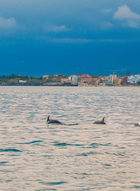 Giardini Naxos Taormina: Dolphin Watching Sunset Tour - Isola Bella Break: Aperitif Mood and a Real Swim Stop