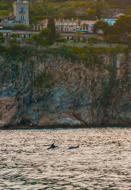Giardini Naxos Taormina: Dolphin Watching Sunset Tour - The Boat Ride Feel: Music, Safety Gear, and Comfort Notes