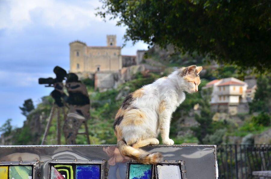 GODFATHER TOUR film's locations departure from Taormina area - Who this tour fits best (and who should think twice)