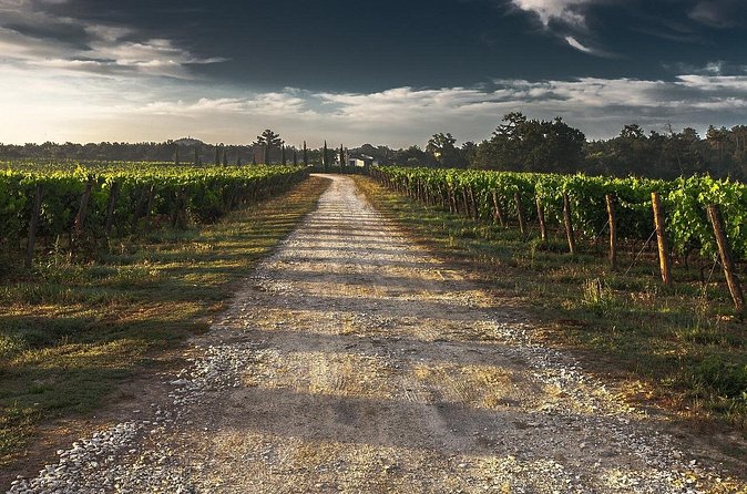 Grand Wine Tour from Catania or Taormina - Stop 2: Barone di Villagrande—Ionian Views, Seasonal Etna Cuisine, and Organic Inputs