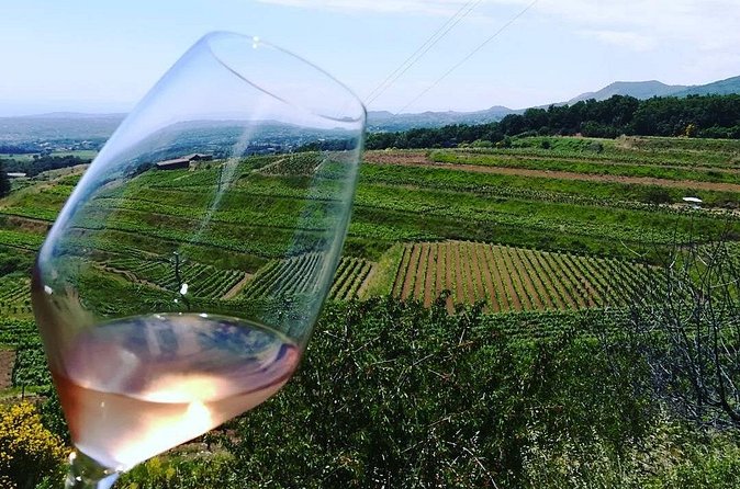 Grand Wine Tour from Catania or Taormina - Stop 3: Gambino Winery on the Mare-Neve Road and High-Altitude Terraces