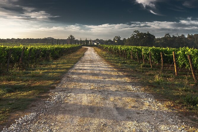 Grand Wine Tour from Catania or Taormina - What the 5–6 Hours Really Feel Like