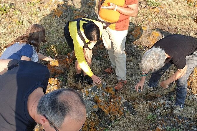 Guided Geological Excursion to Ustica - The 2-hour evening format: what your timing should look like