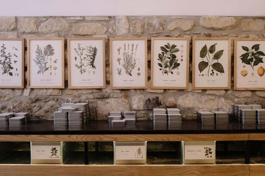 Guided tasting of the "Best Chocolate of Modica" - Workshop Visit: Raw Modica Chocolate, Explained Plainly