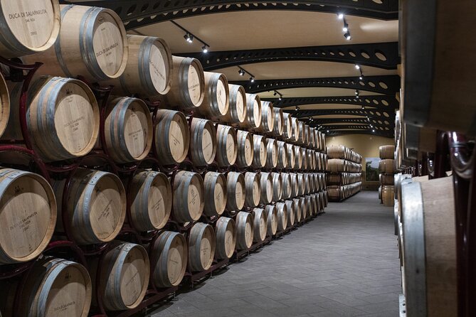 Guided tour and tasting at Duca di Salaparuta Winery - Key highlights worth your attention