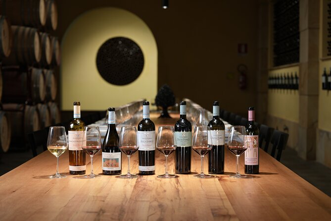 Guided tour and tasting at Duca di Salaparuta Winery - The tasting setup: wines, snacks, and pairing logic