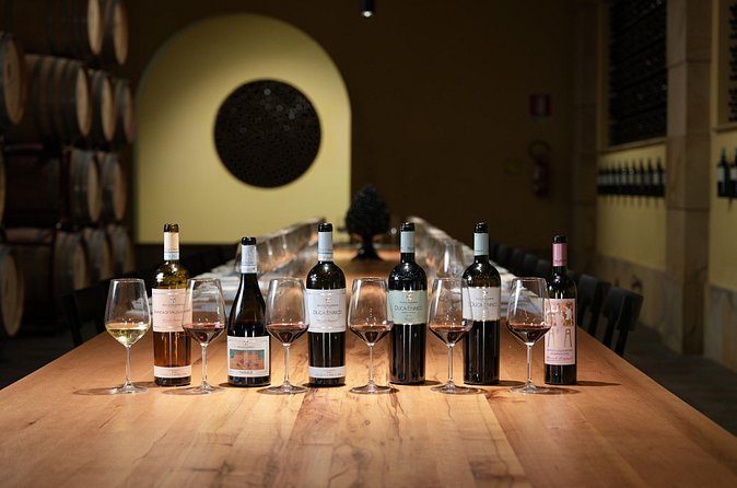 Guided tour and tasting at Duca di Salaparuta Winery - What you do not get: no vineyard walk, no countryside photos