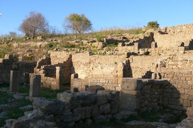 Guided Tour in Morgantina. Visit Morgantina. - What’s included: the guide is the real product