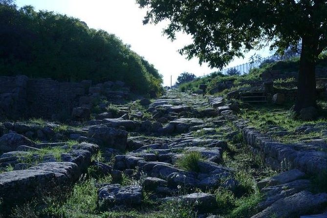 Guided Tour in Morgantina. Visit Morgantina. - When a guide goes beyond the basics: Aidone museum and Villa Romana del Casale