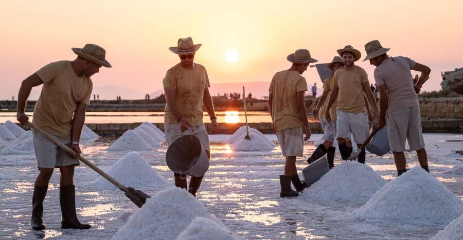 Guided tour of the Trapani Salt Pans and Salt Museum - Price and value: why $21 feels fair for this mix