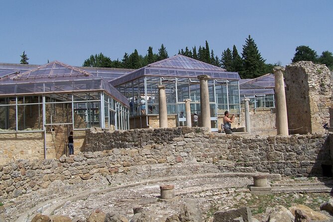 Guided tour of Villa Romana del Casale with skip the line - Price and value: is $45.38 worth it?