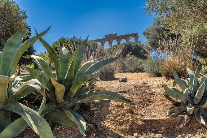 Guided tour to the Valley of the Temples of Agrigento from Cefalù - Price and value: what €17.00 tickets change for your budget