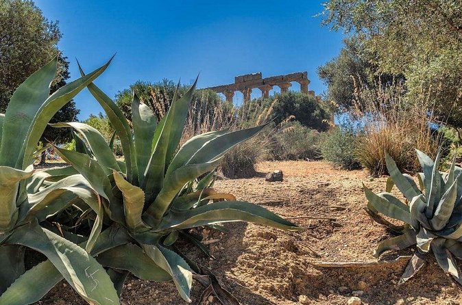 Guided tour to the Valley of the Temples of Agrigento from Cefalù - Practical tips for a smoother, more satisfying temple visit