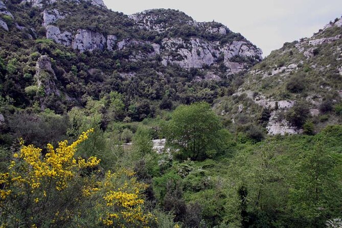 Guided Trekking to Cavagrande del Cassibile in Sicily - Price and value: $65.35 for a canyon experience that doesn’t drag