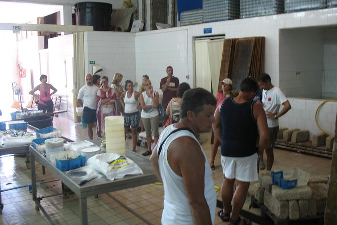 HALF DAY excursion - Marzamemi and Capo Passero by Boat - Key Highlights to Look For